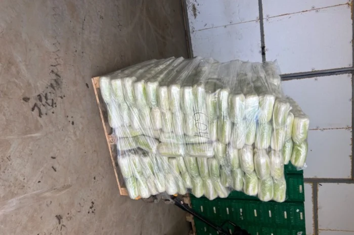 Продам Пікінку- фото № 2