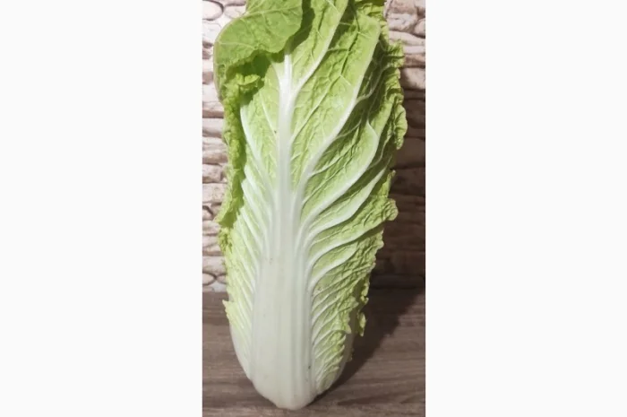 Продам пекінську капусту- фото № 1