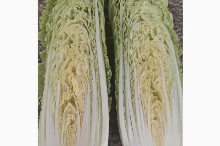 Продам пекінську капусту- фото № 2