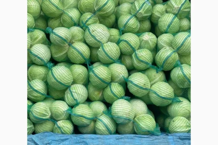 Продам капусту «Сторідор»- фото № 3