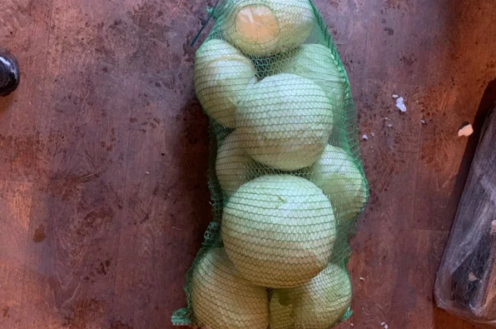 Продам капусту малими обʼємами сорт агресор- фото № 3