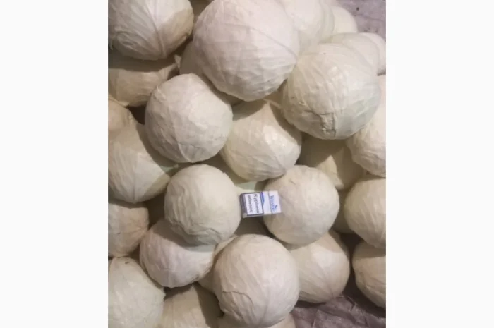 Продам капусту оптом- фото № 1