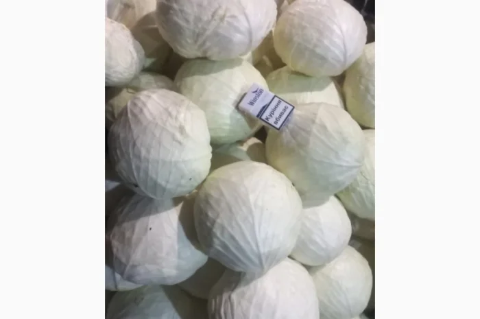 Продам капусту оптом- фото № 2