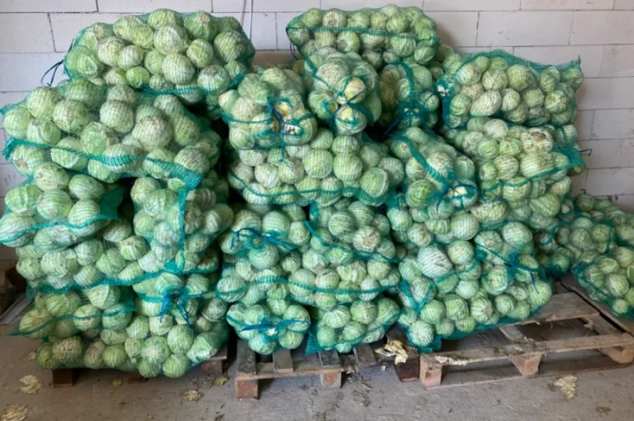 Продам капусту до 1 кг- фото № 1