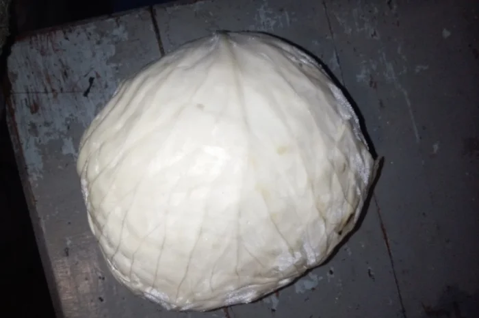 Продам капусту агресор- фото № 2