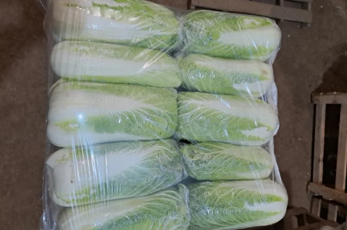 Продам Пекінку- фото № 2