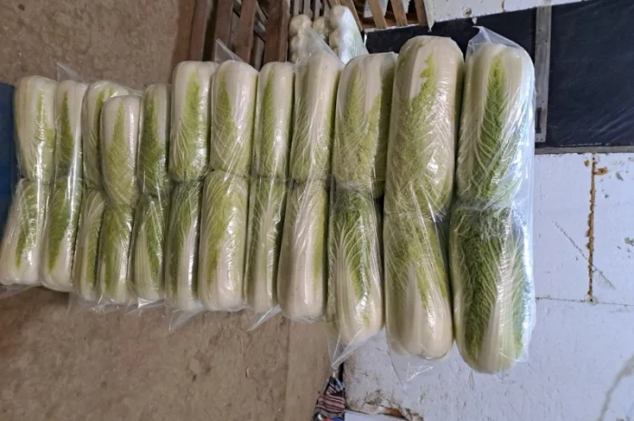 Продам Пекінку- фото № 3