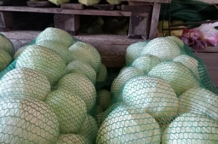 Продам капусту- фото № 2