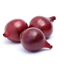 Куплю червону цибулю Марс- фото № 1