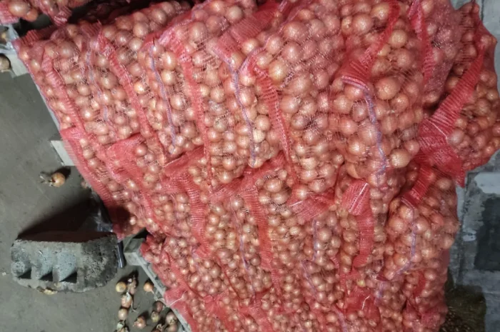 Продаю цибулю 5-7- фото № 1