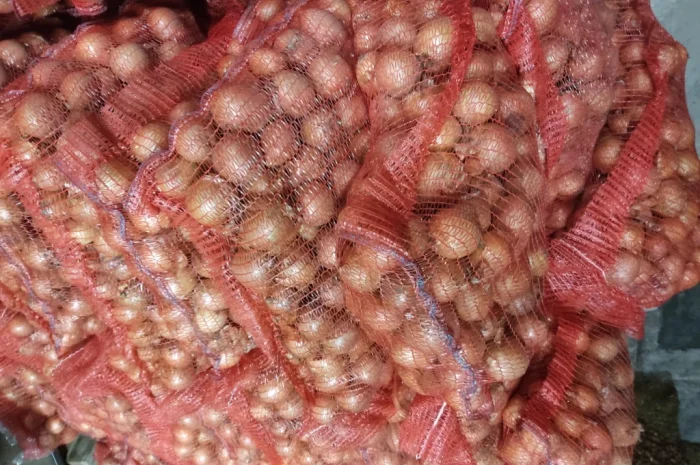 Продаю цибулю 5-7- фото № 2