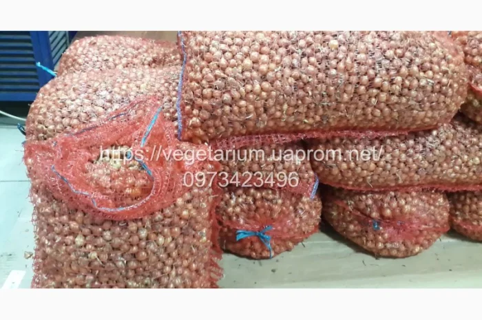 Продаж Лука севка Штутгарт- фото № 4