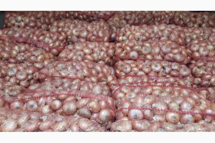 Лук Штутгарт на перо від виробника- фото № 1