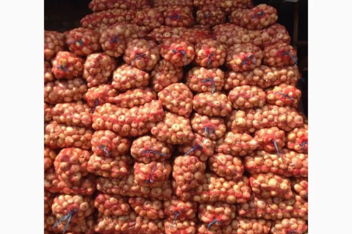 Продаж лука штутгарт на перо- фото № 1