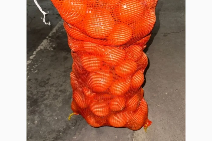 Цибуля жовта Єгипет в упаковках по 10 кг та 25 кг- фото № 7