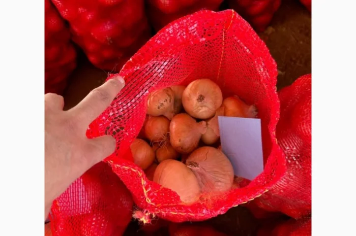 Закупівля цибулі оптом у Київській області- фото № 4