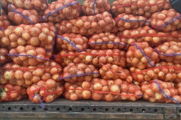 Продаж цибулі оптом- фото № 6