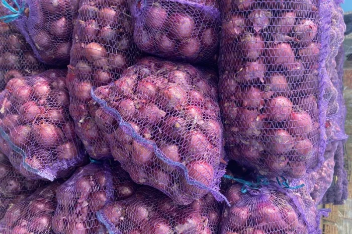 Цибуля оптом фіолетова, червона, МАРС, Харків- фото № 4