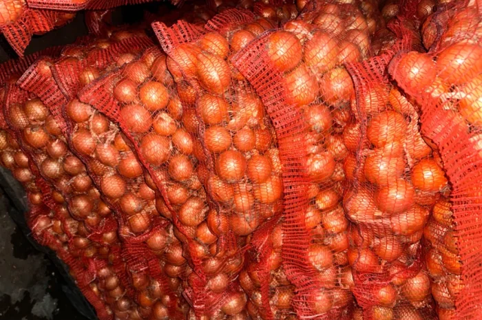 Продаю цибулю калібр 5-7 оптом- фото № 1