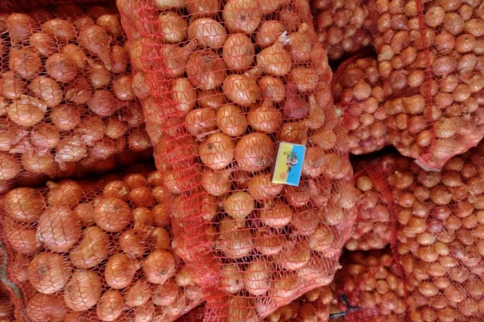 Якісний лук Штутгарт на перо- фото № 6