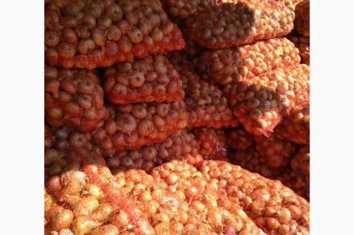 Якісний лук Штутгарт на перо- фото № 1