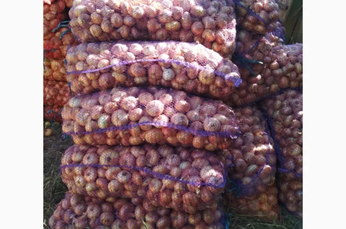 Якісний лук Штутгарт на перо- фото № 2