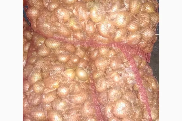 Якісний лук Штутгарт на перо- фото № 3