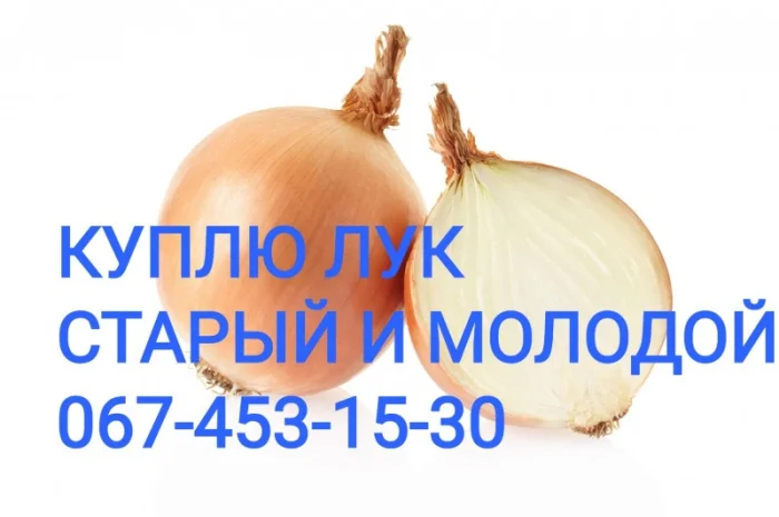 Куплю цибулю Об'эм- фото № 1
