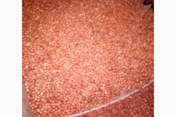 Продам лук-севок- фото № 3