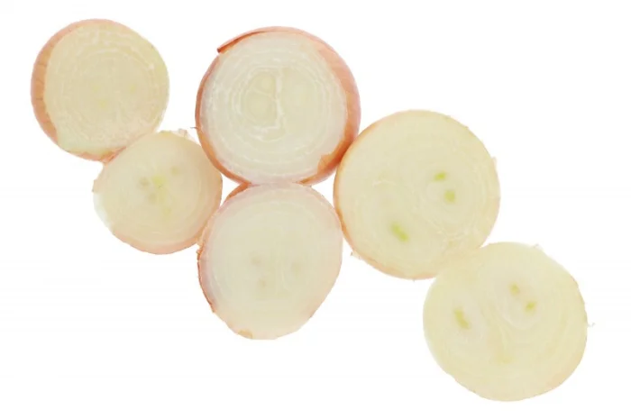 Цибуля Штутгартен фракція 2,5-6 см- фото № 2