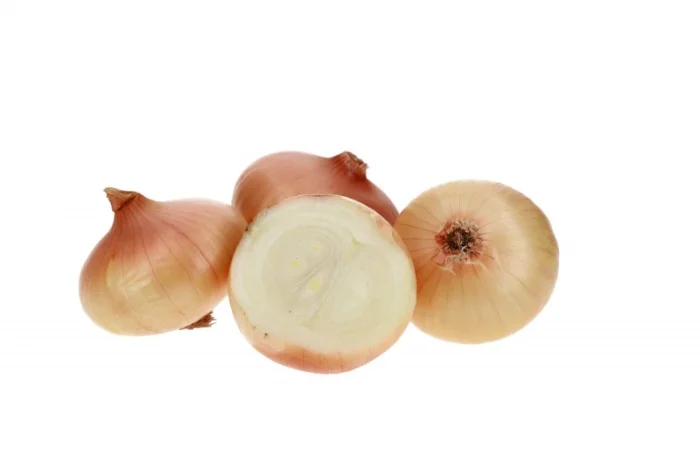 Цибуля Штутгартен фракція 2,5-6 см- фото № 3