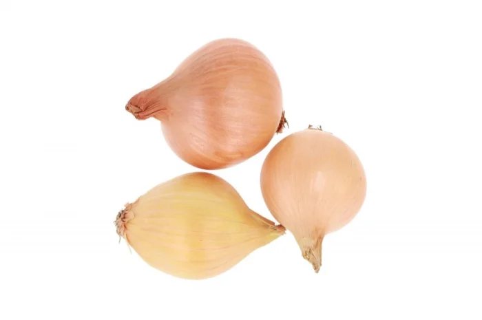 Цибуля Штутгартен фракція 2,5-6 см- фото № 4