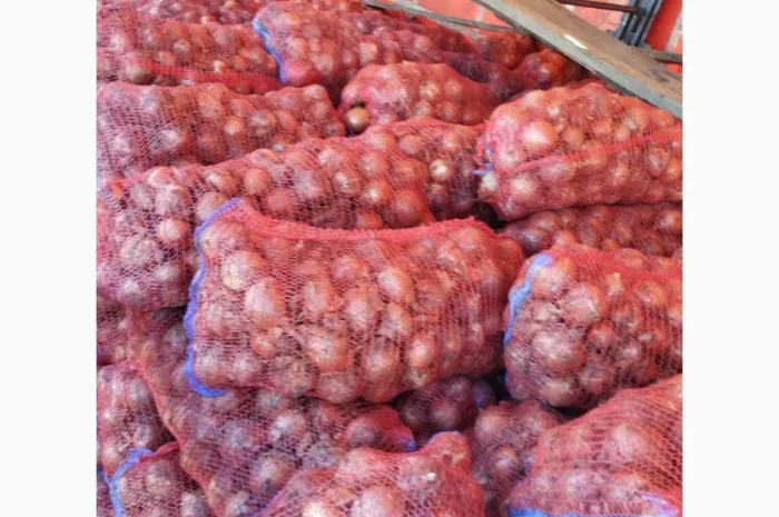 Продаж Цибули Гуртом, Сорт Легенд- фото № 1