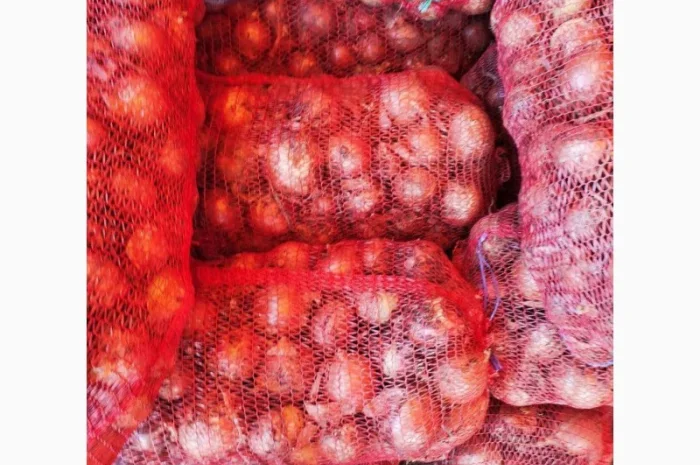 Продаж Цибули Гуртом, Сорт Легенд- фото № 3