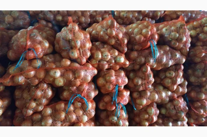 Цибуля товарна оптом- фото № 1