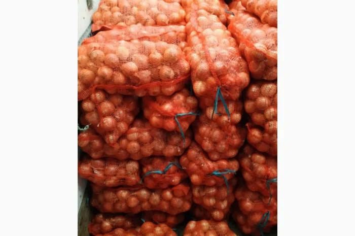 Продаж товарної цибулі оптом- фото № 1