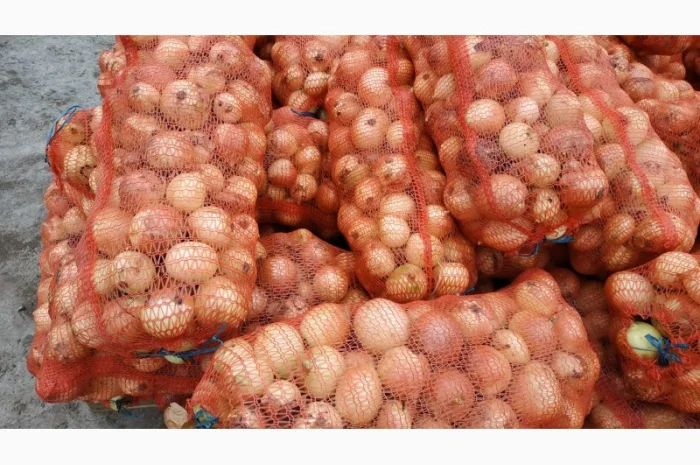 Якісний лук оптом- фото № 1