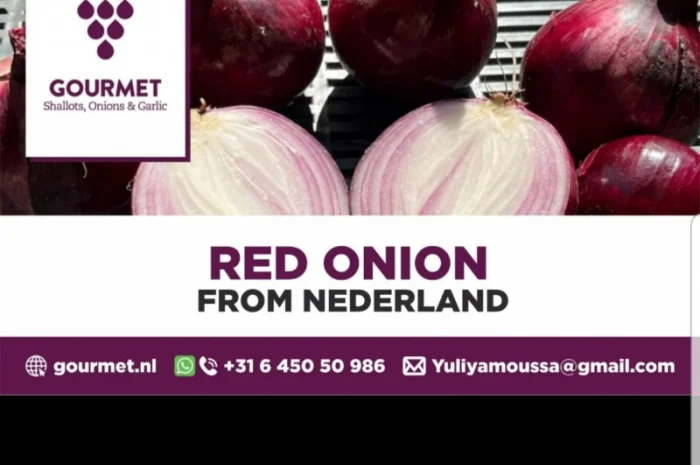 Продаж червоної цибулі- фото № 3