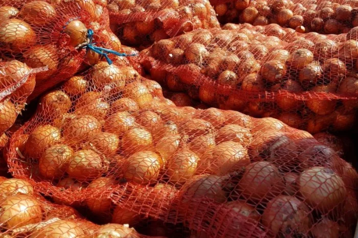 Продаж лука сорту братко- фото № 1