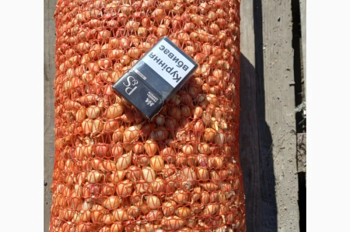 Продаём лук севок на постоянной основе- фото № 13