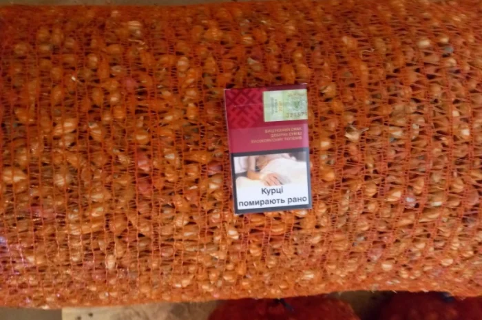 Продаём лук севок на постоянной основе- фото № 9