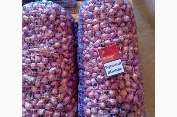 Продаём лук севок на постоянной основе- фото № 10