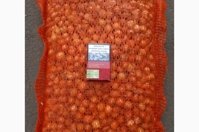 Продаём лук севок на постоянной основе- фото № 17