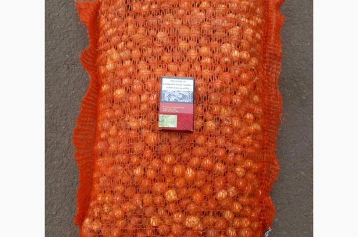 Продаём лук севок на постоянной основе- фото № 15