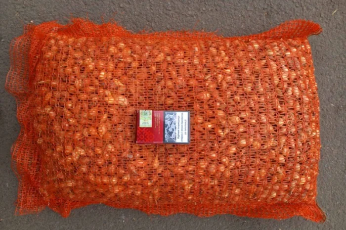 Продаём лук севок на постоянной основе- фото № 1