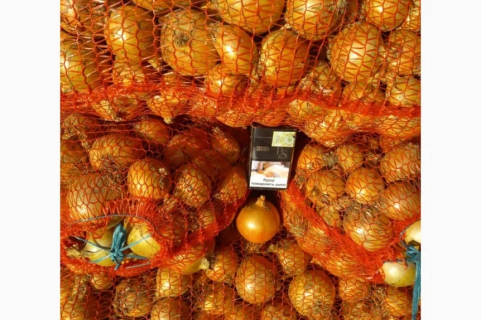 Продаём лук севок на постоянной основе- фото № 3