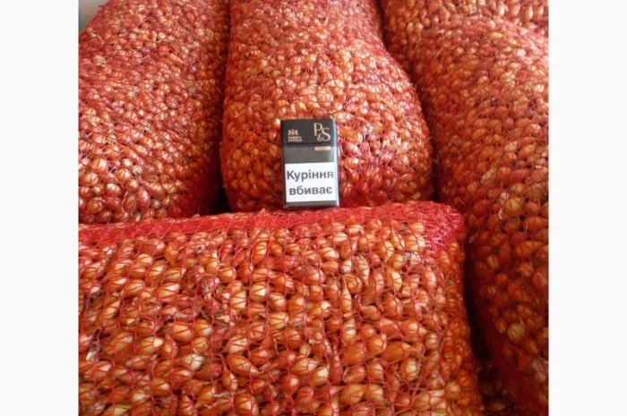 Продаём лук севок на постоянной основе- фото № 11