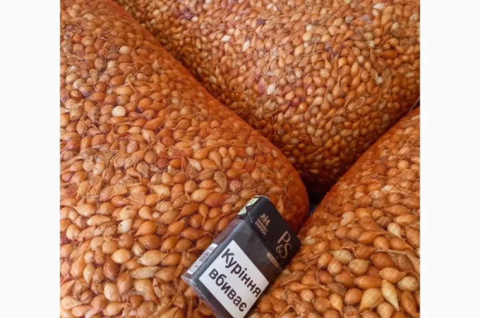 Продаём лук севок на постоянной основе- фото № 12