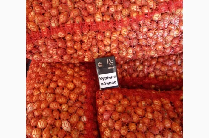 Продаём лук севок на постоянной основе- фото № 8