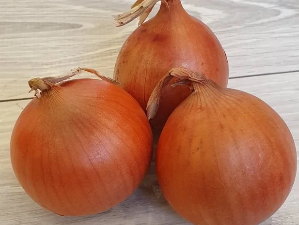 Закупаем лук на постоянной основе- фото № 1